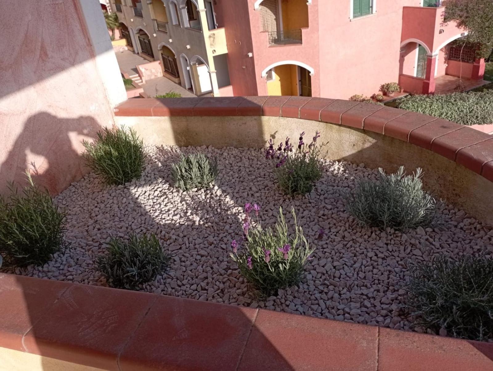 Casa Ginevra Apartment Santa Teresa Gallura Exterior foto
